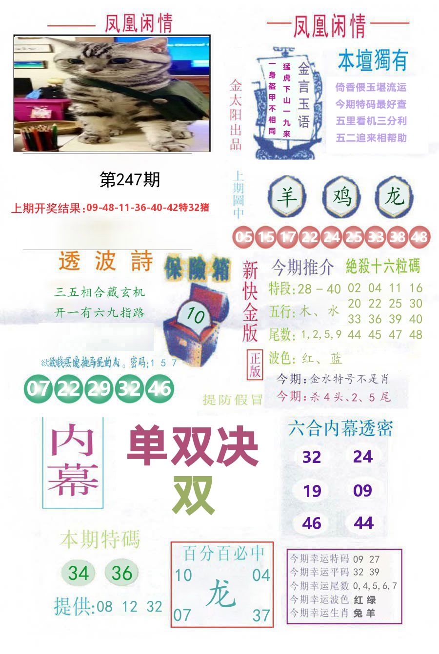 凤凰闲情 第247期