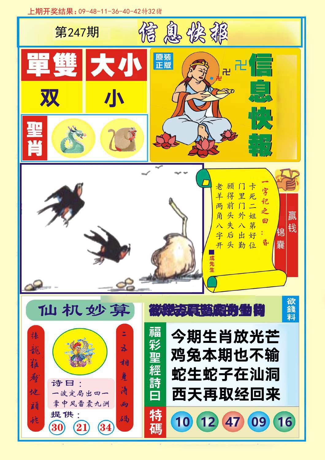 信息快报 第247期