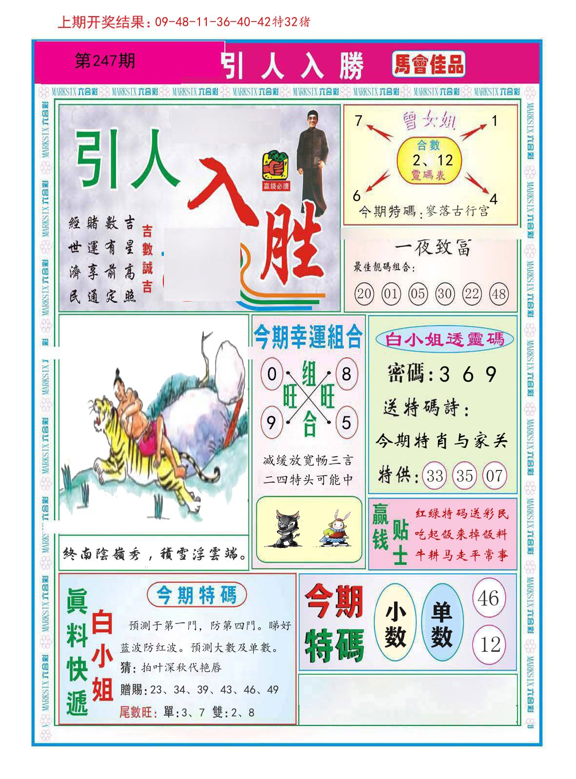 引人入胜 第247期