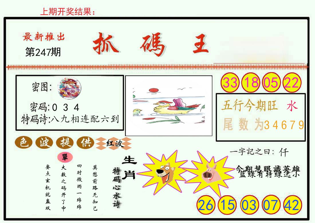 最新抓码王 第247期