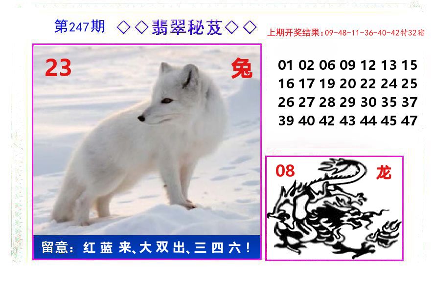 翡翠秘芨 第247期