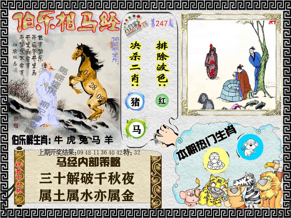 伯乐相马经 第247期