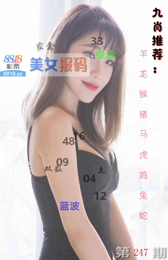 美女报码 第247期