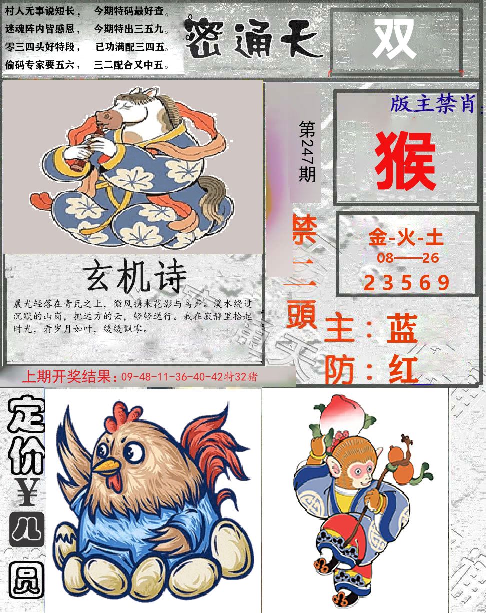 密通天 第247期