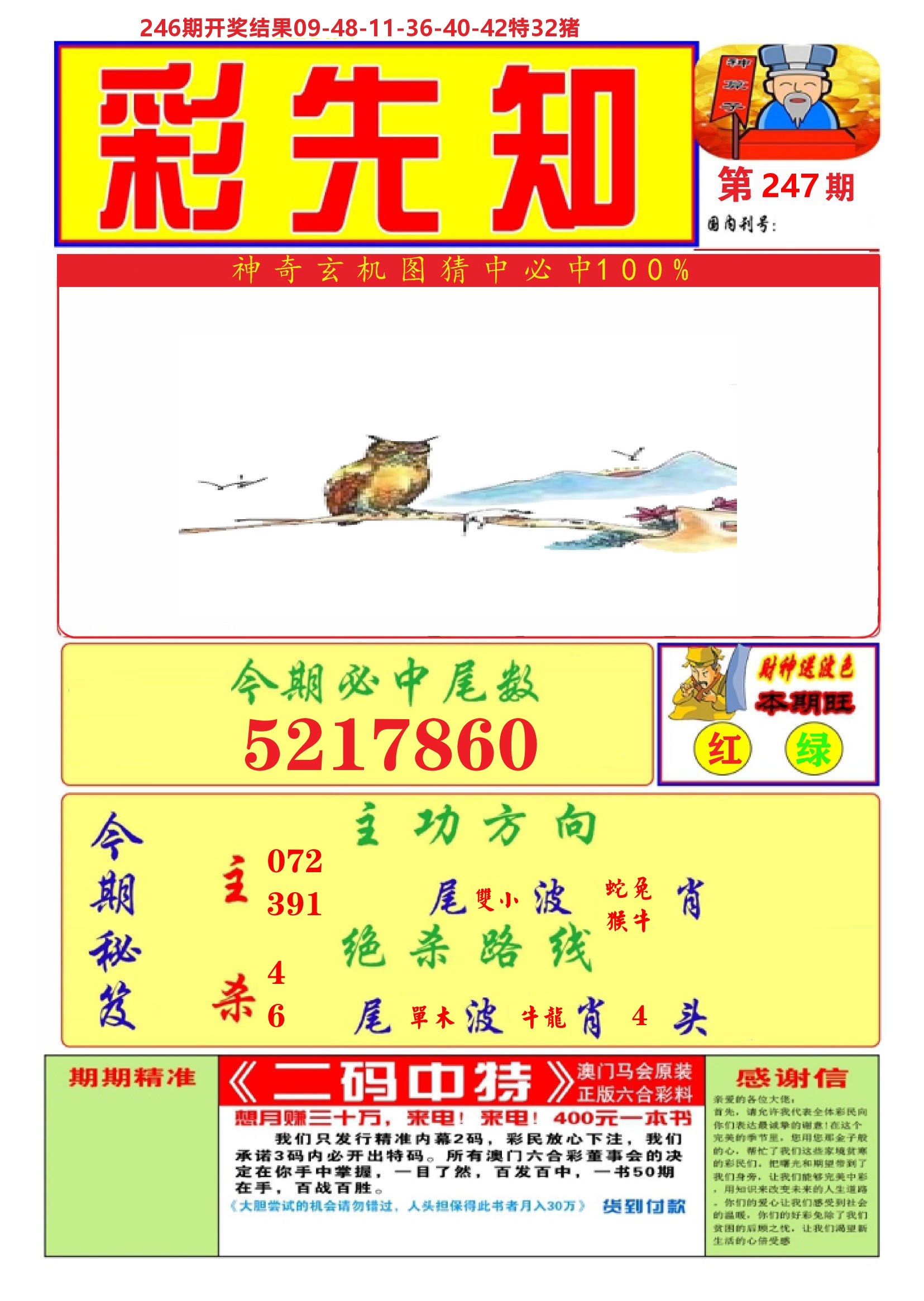 澳门彩先知A 第247期
