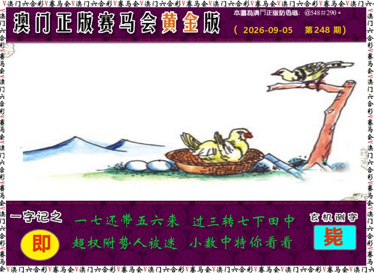 赛马会黄金版 第248期