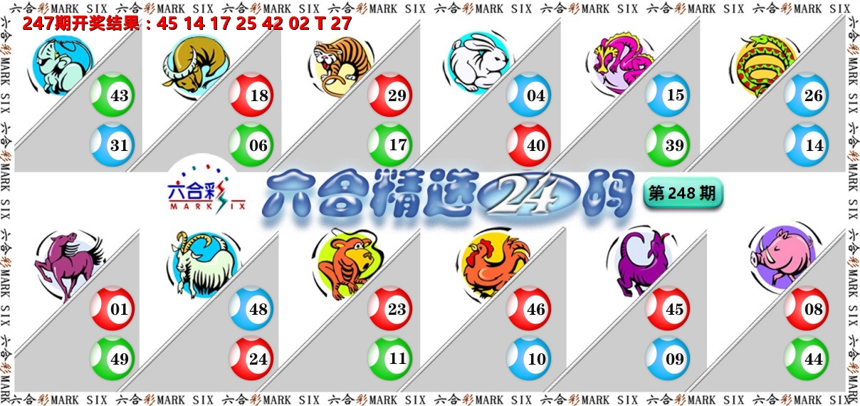 六合精选24码 第248期