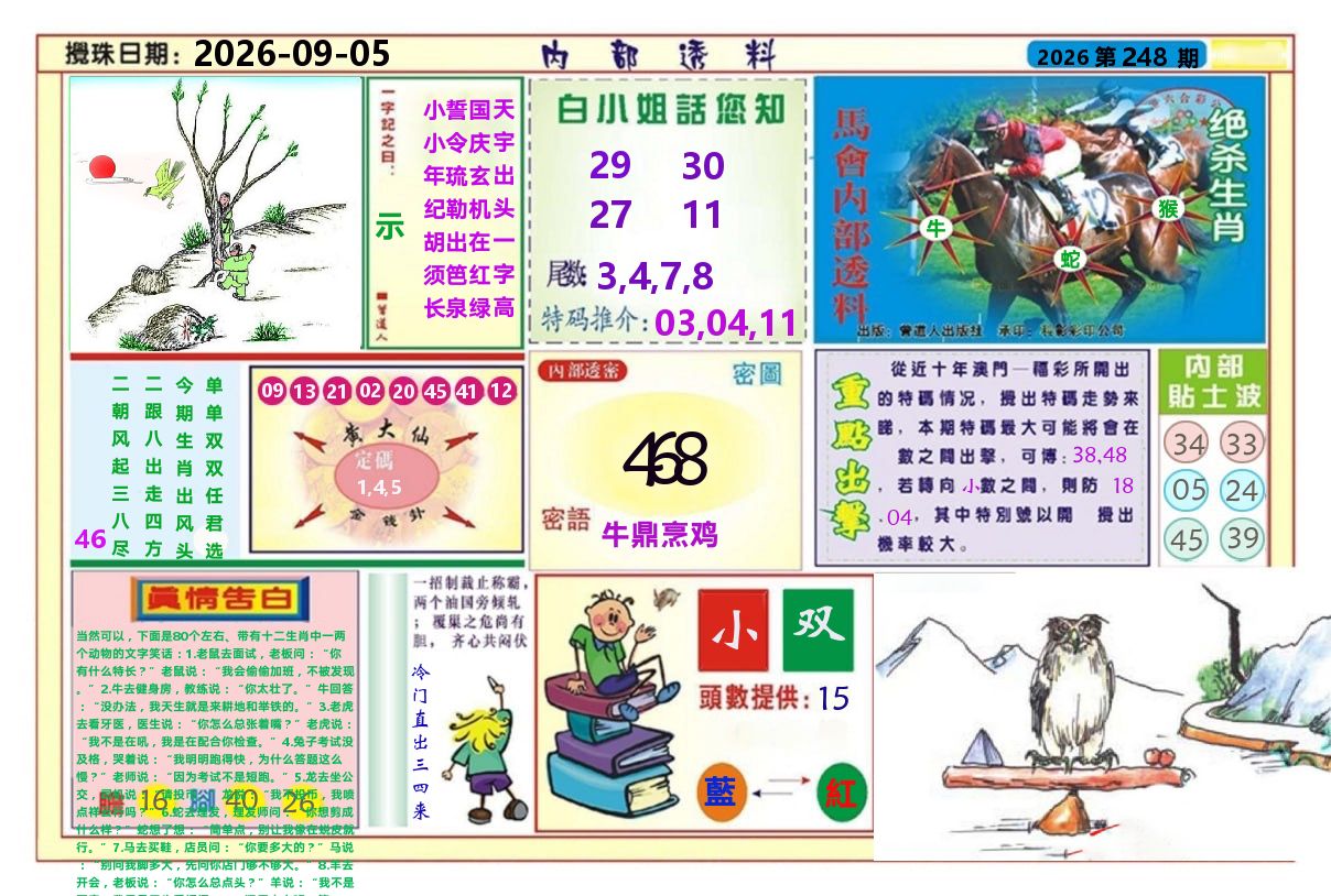 澳门内部透料A 第248期