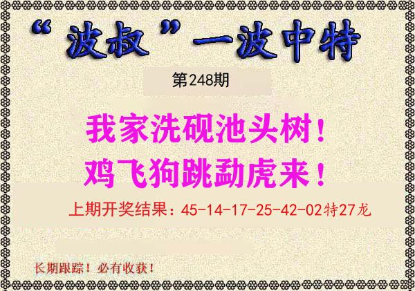 波叔中特 第248期