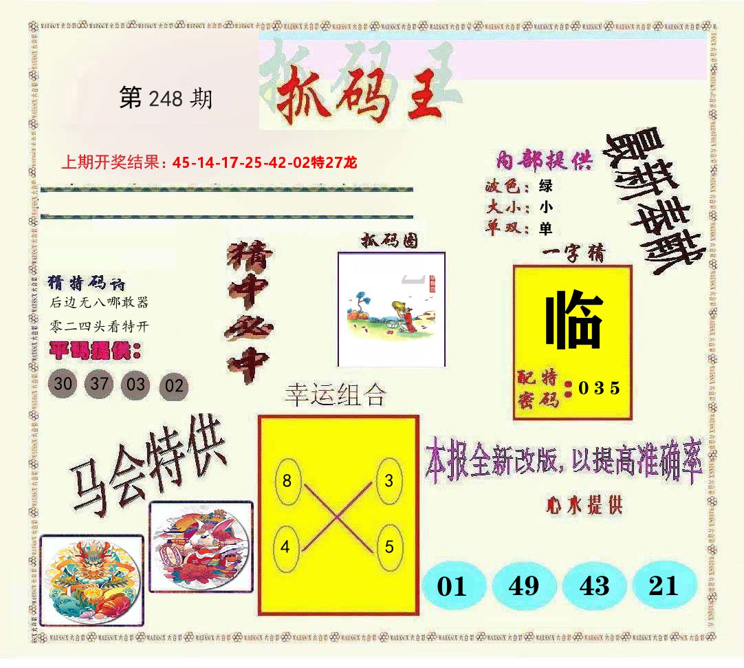 抓码王 第248期
