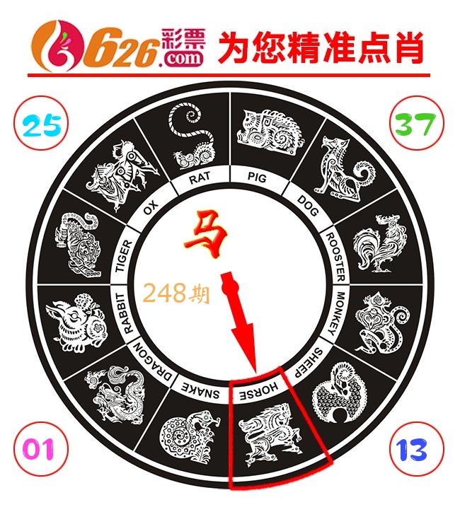 精准点肖 第248期