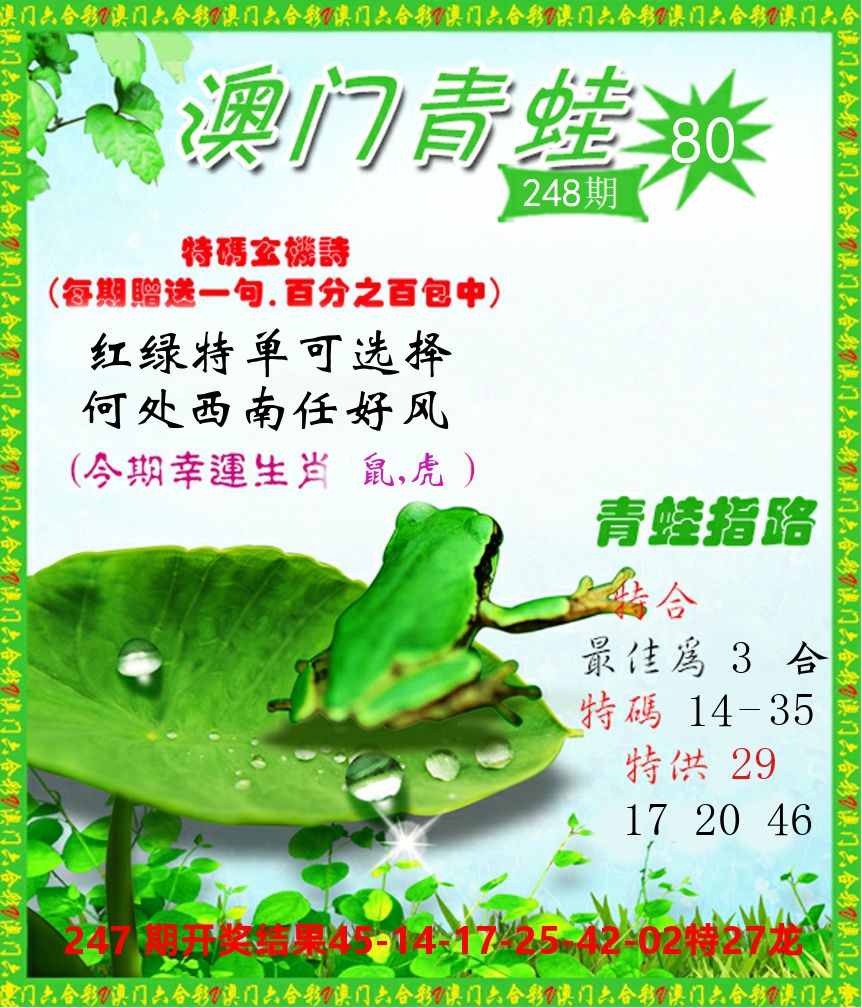 青蛙系列80 第248期