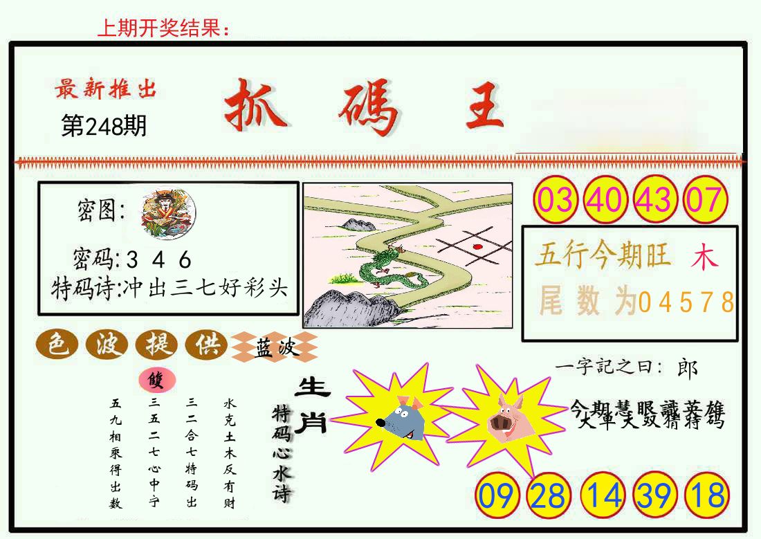 最新抓码王 第248期