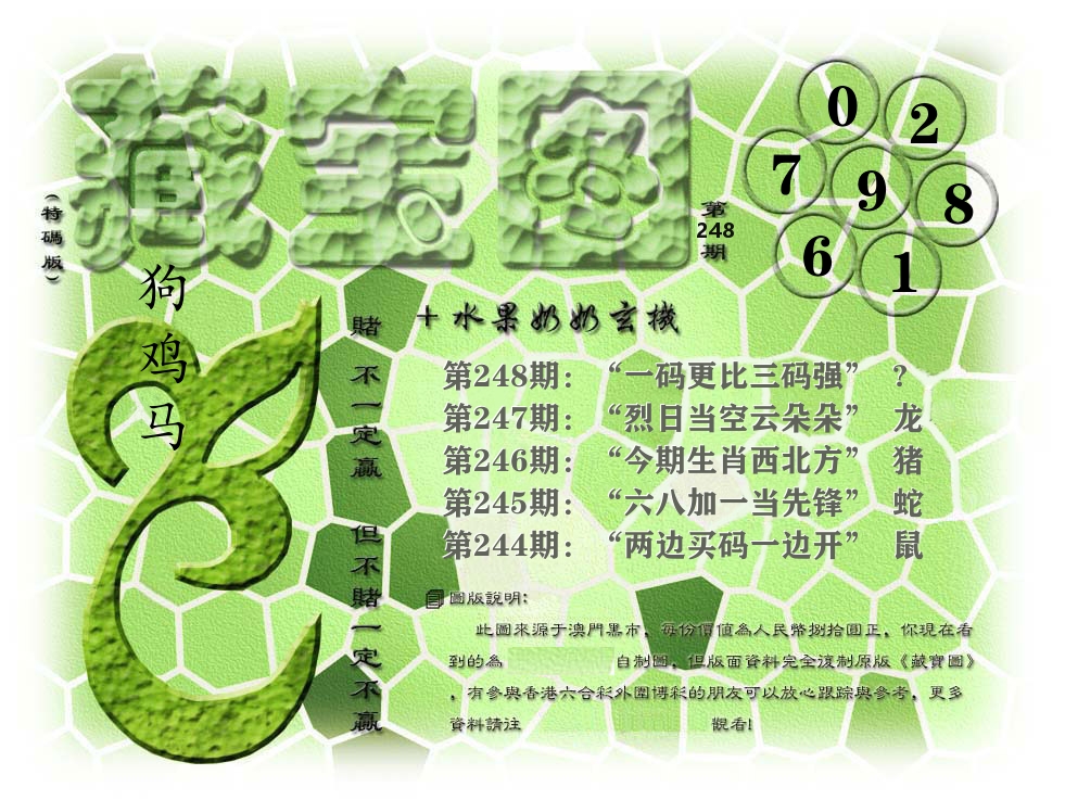 藏宝图奶奶玄机 第248期