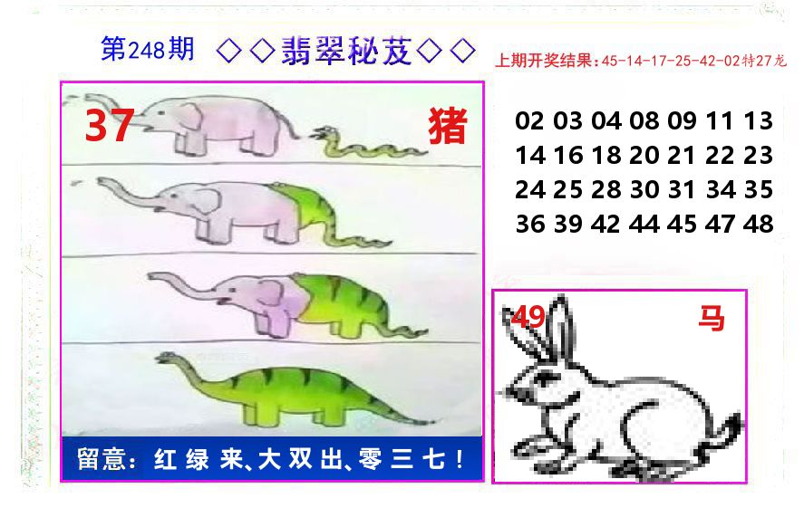 翡翠秘芨 第248期