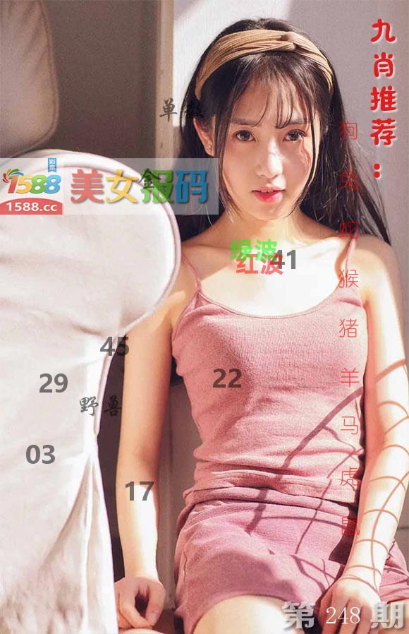 美女报码 第248期
