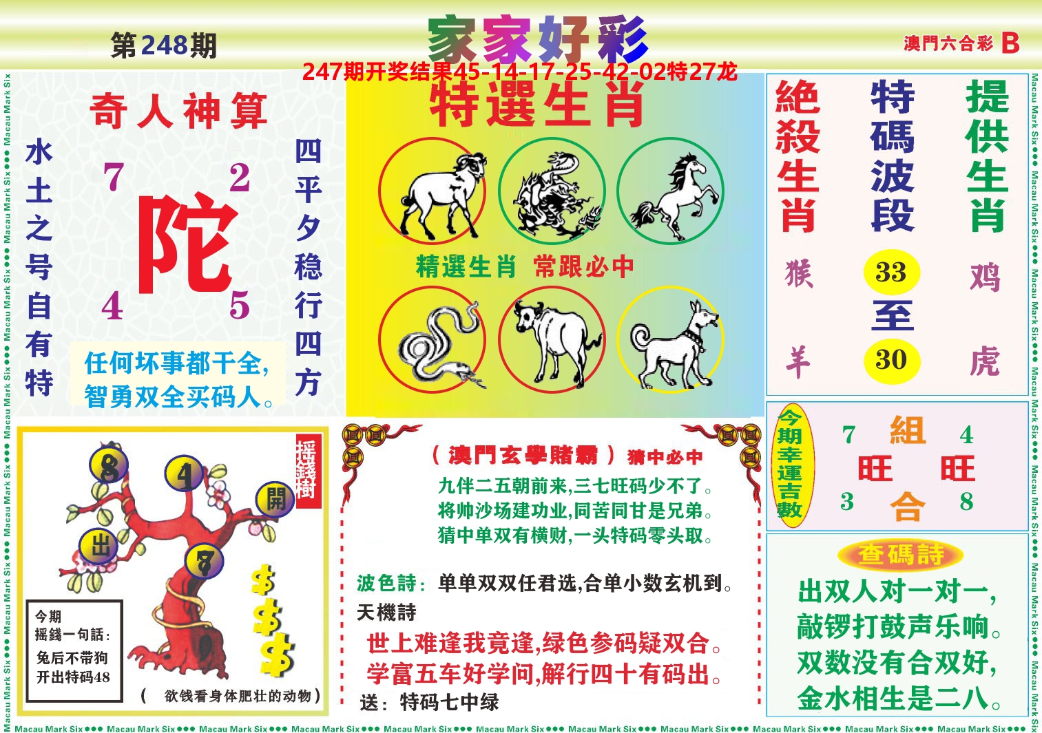 家家好彩B 第248期