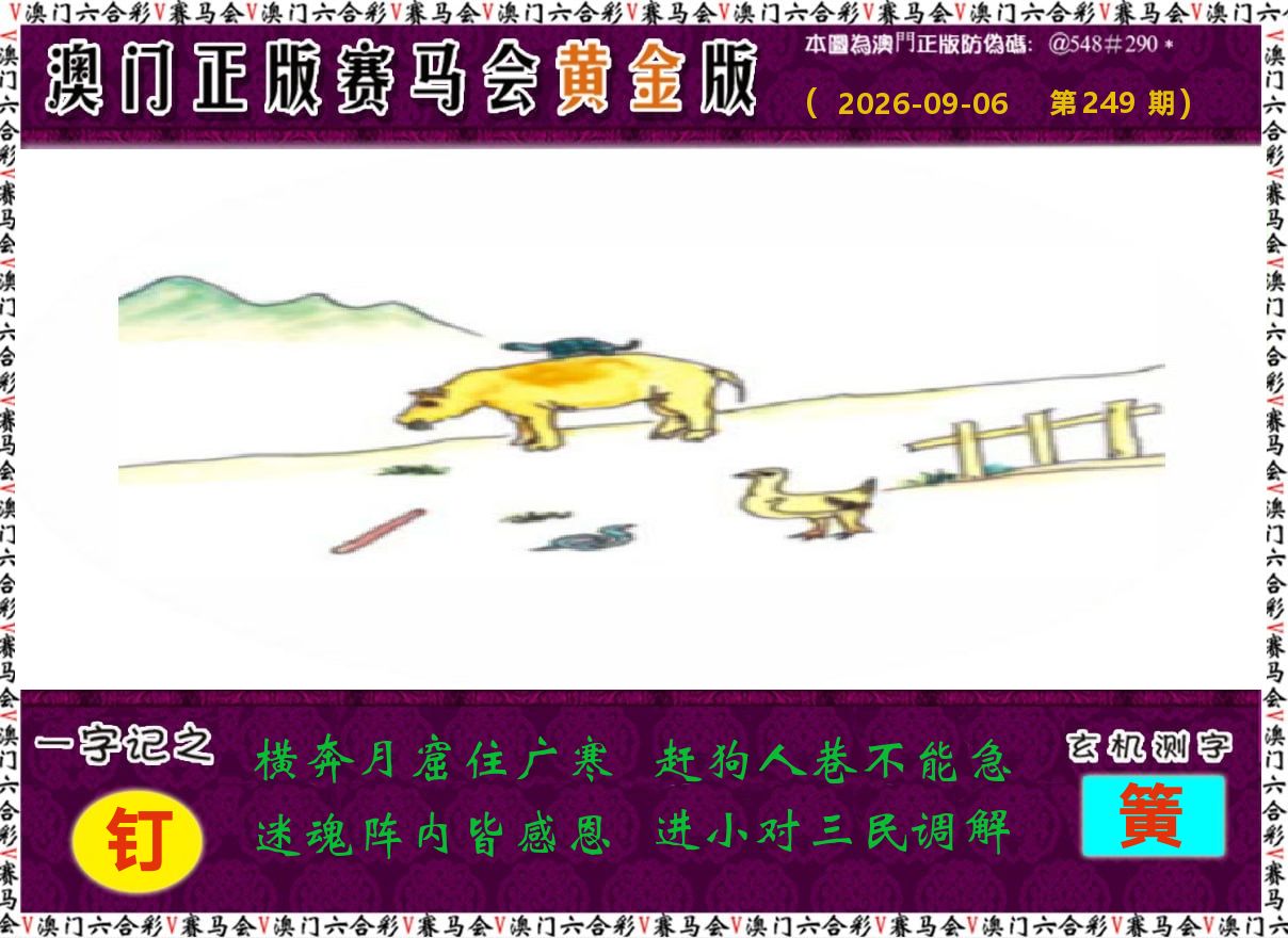 赛马会黄金版 第249期