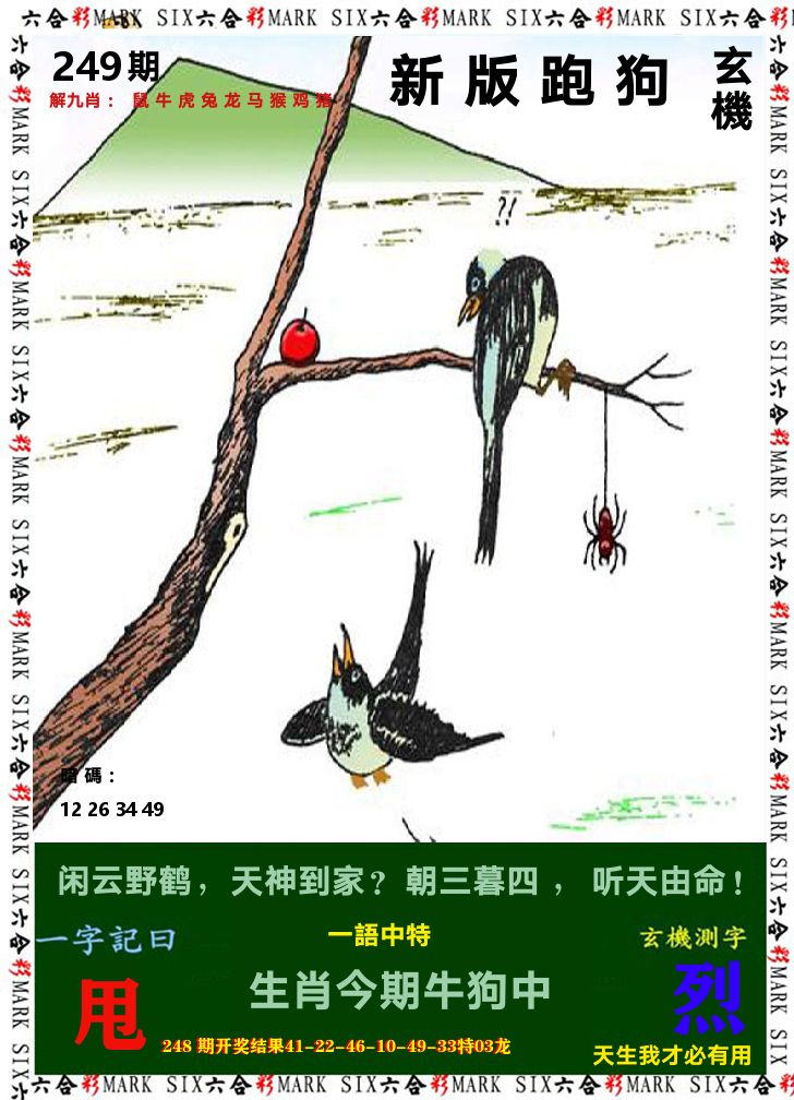 悟入其图 第249期