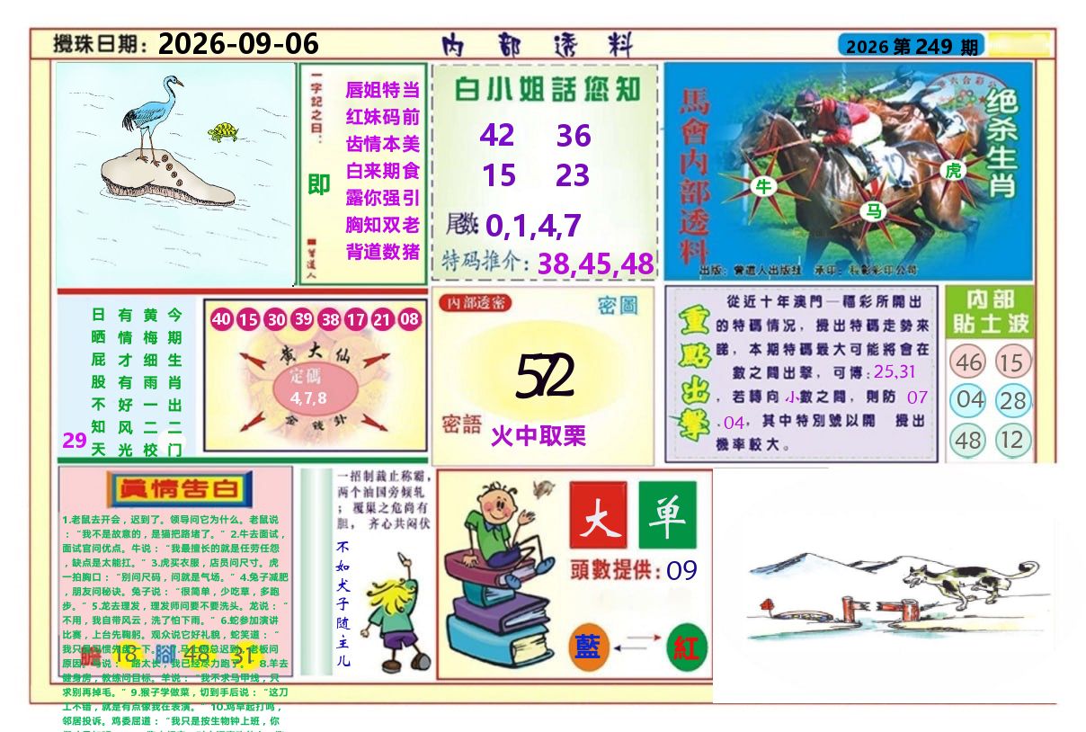 澳门内部透料A 第249期