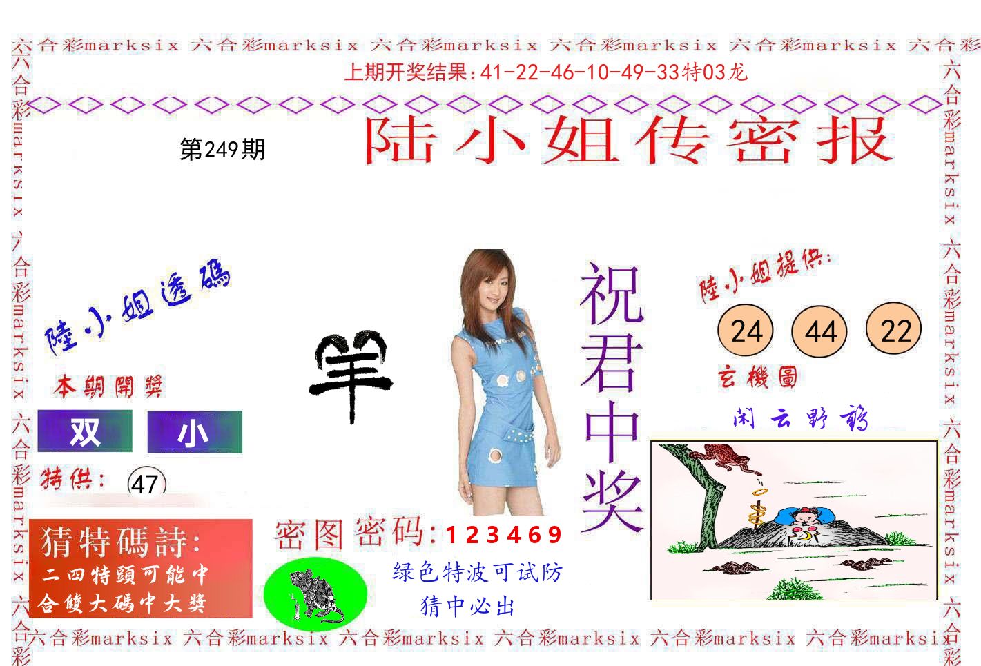 陆小姐密报 第249期