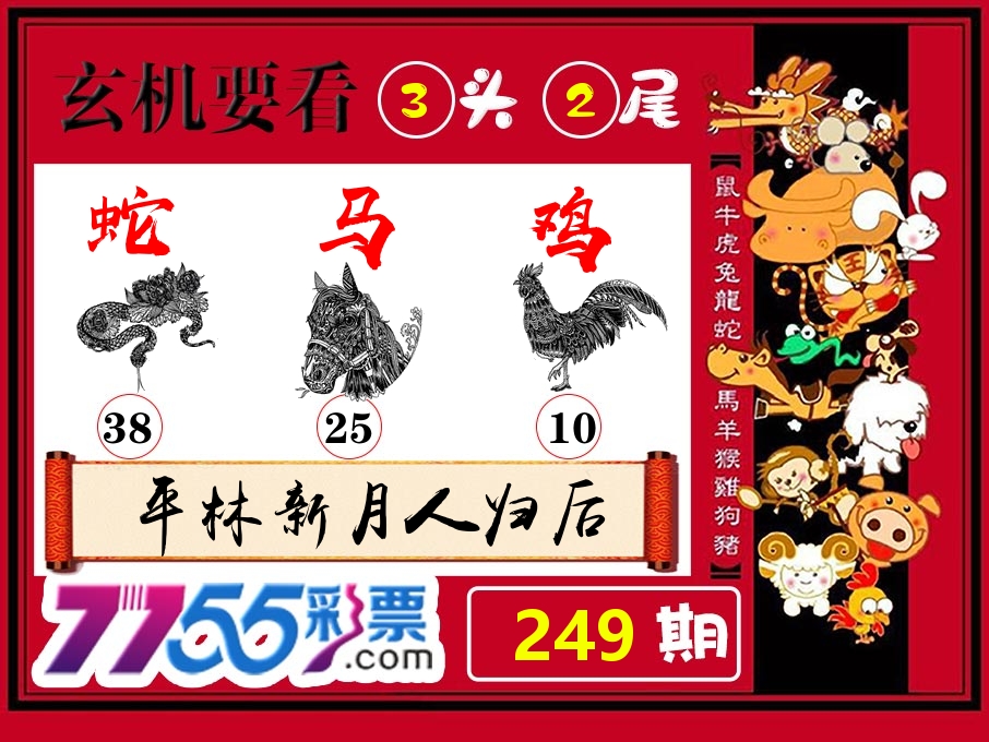 玄机要看 第249期