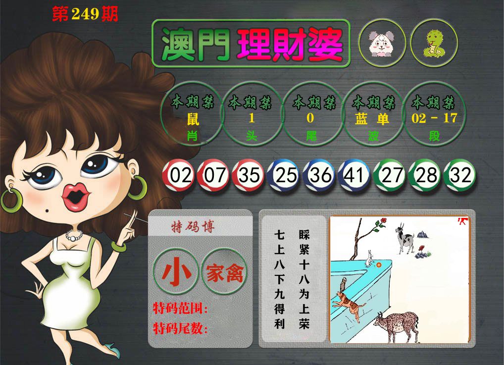 理财婆 第249期