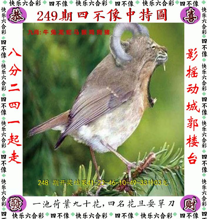 四不像 第249期