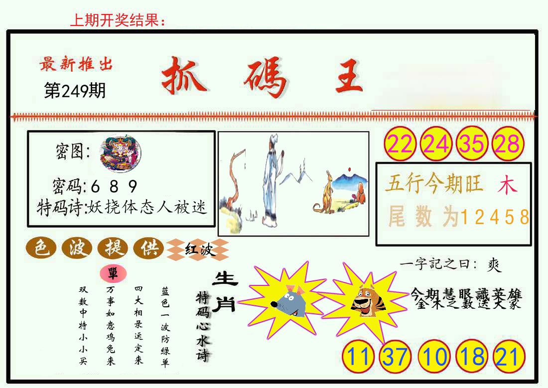 最新抓码王 第249期