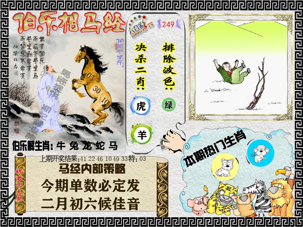 伯乐相马经 第249期
