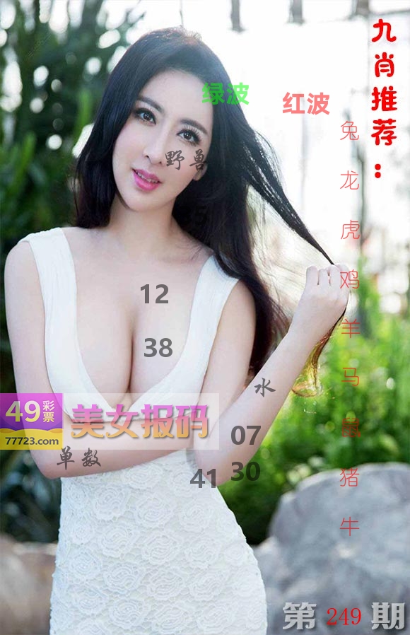 美女报码 第249期