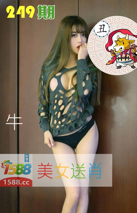 美女送肖 第249期