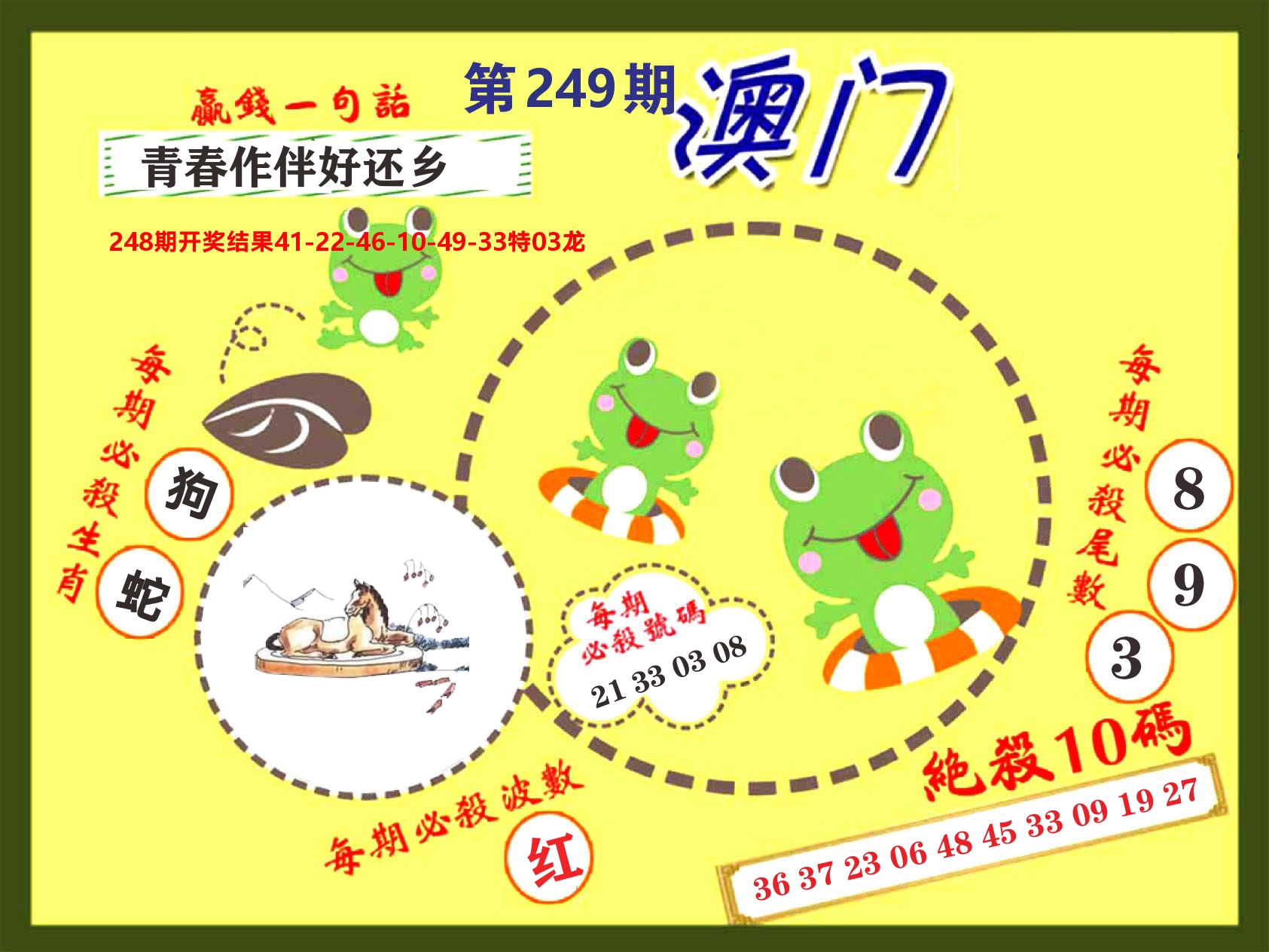 澳门特码王D 第249期