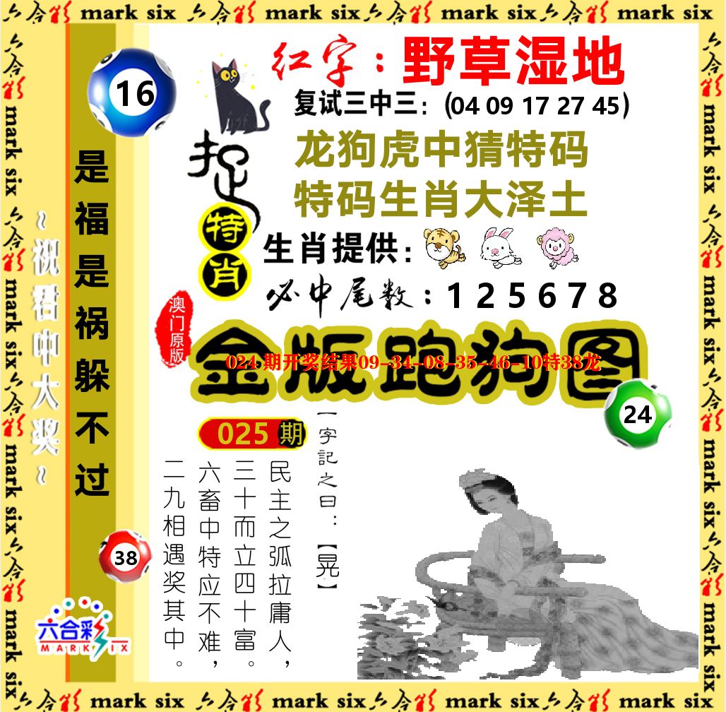金版跑狗图 第25期