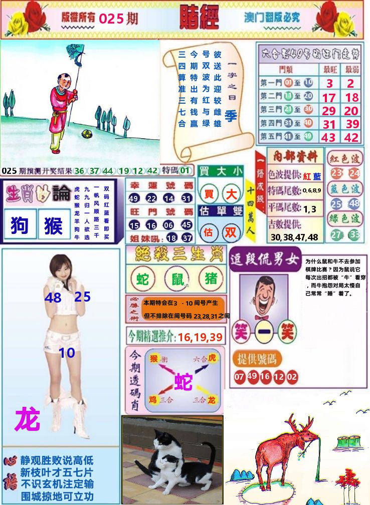 澳门赌经 第25期