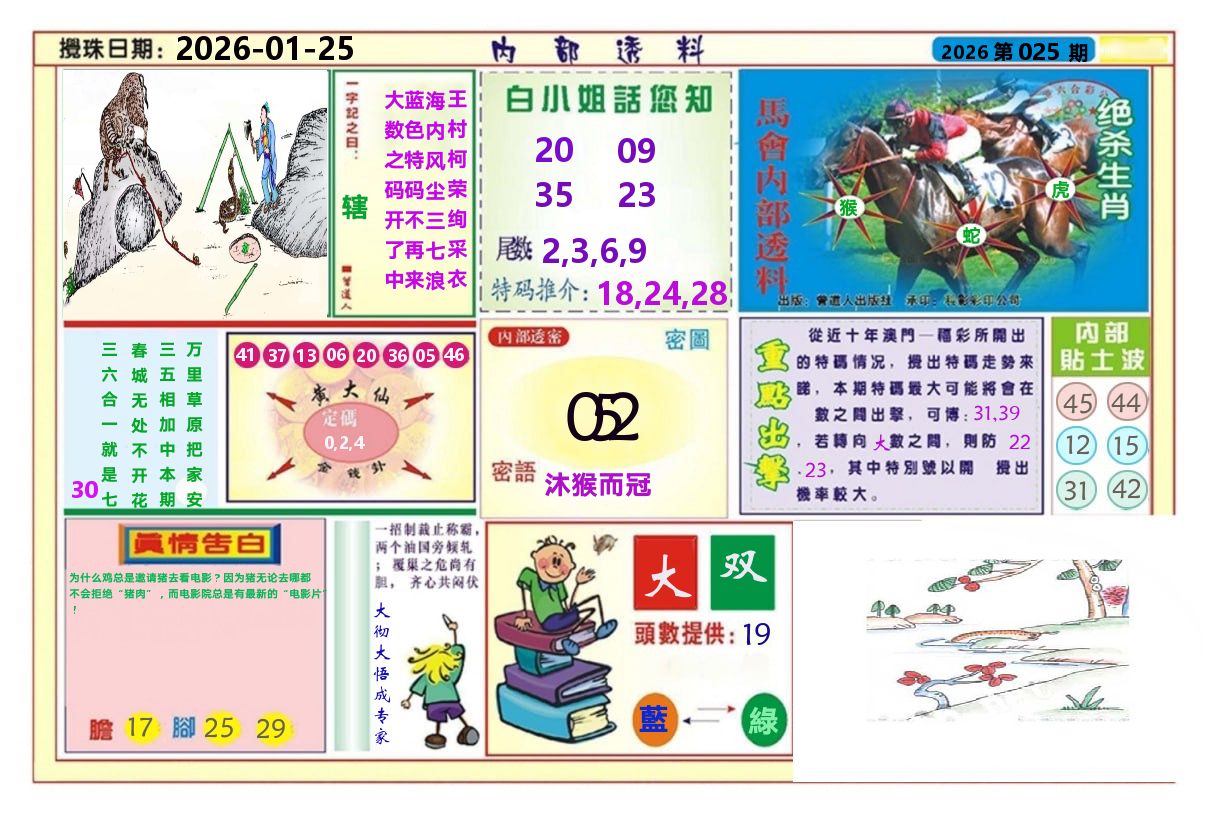 澳门内部透料A 第25期