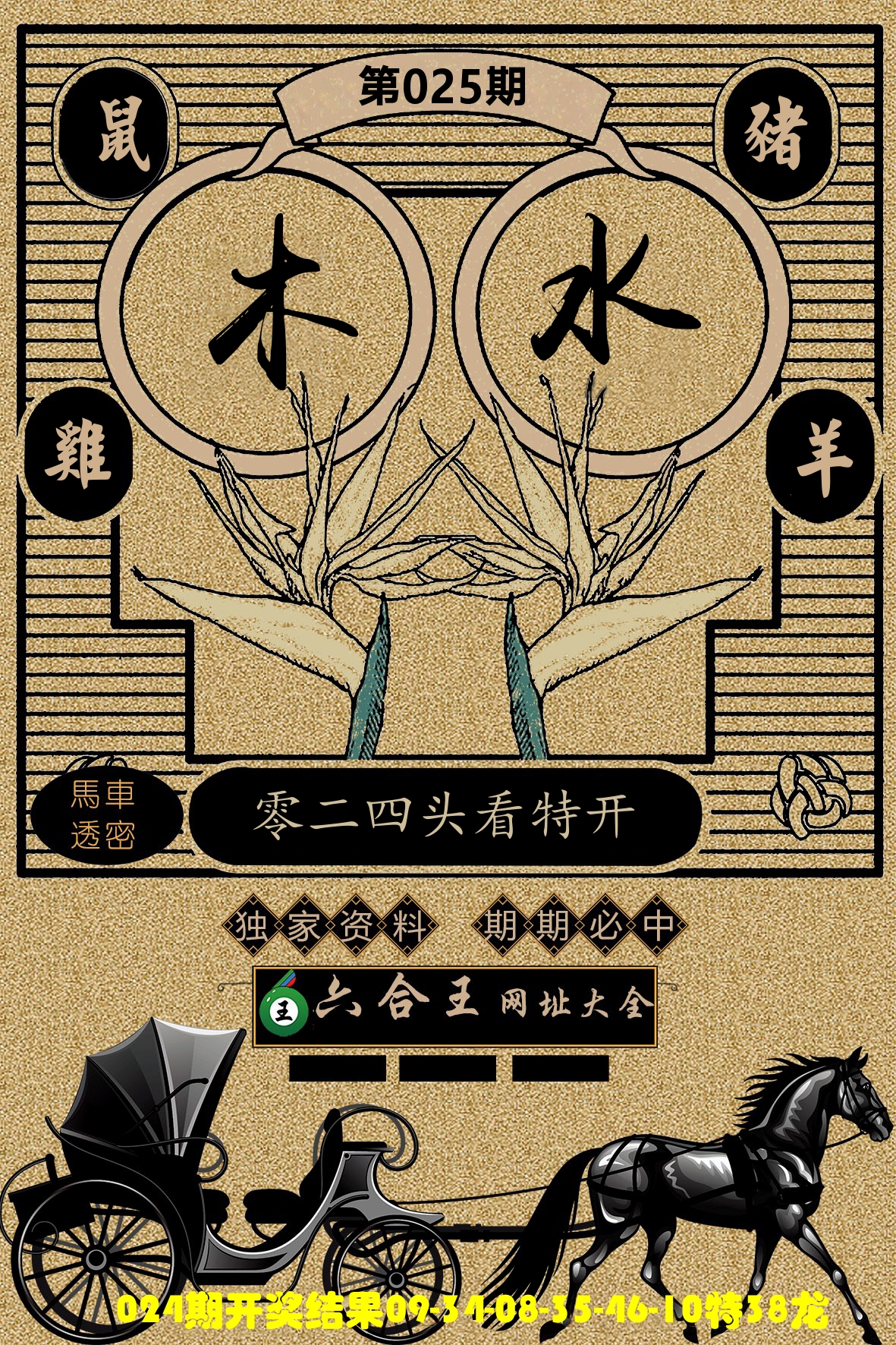 六合王马车透密 第25期