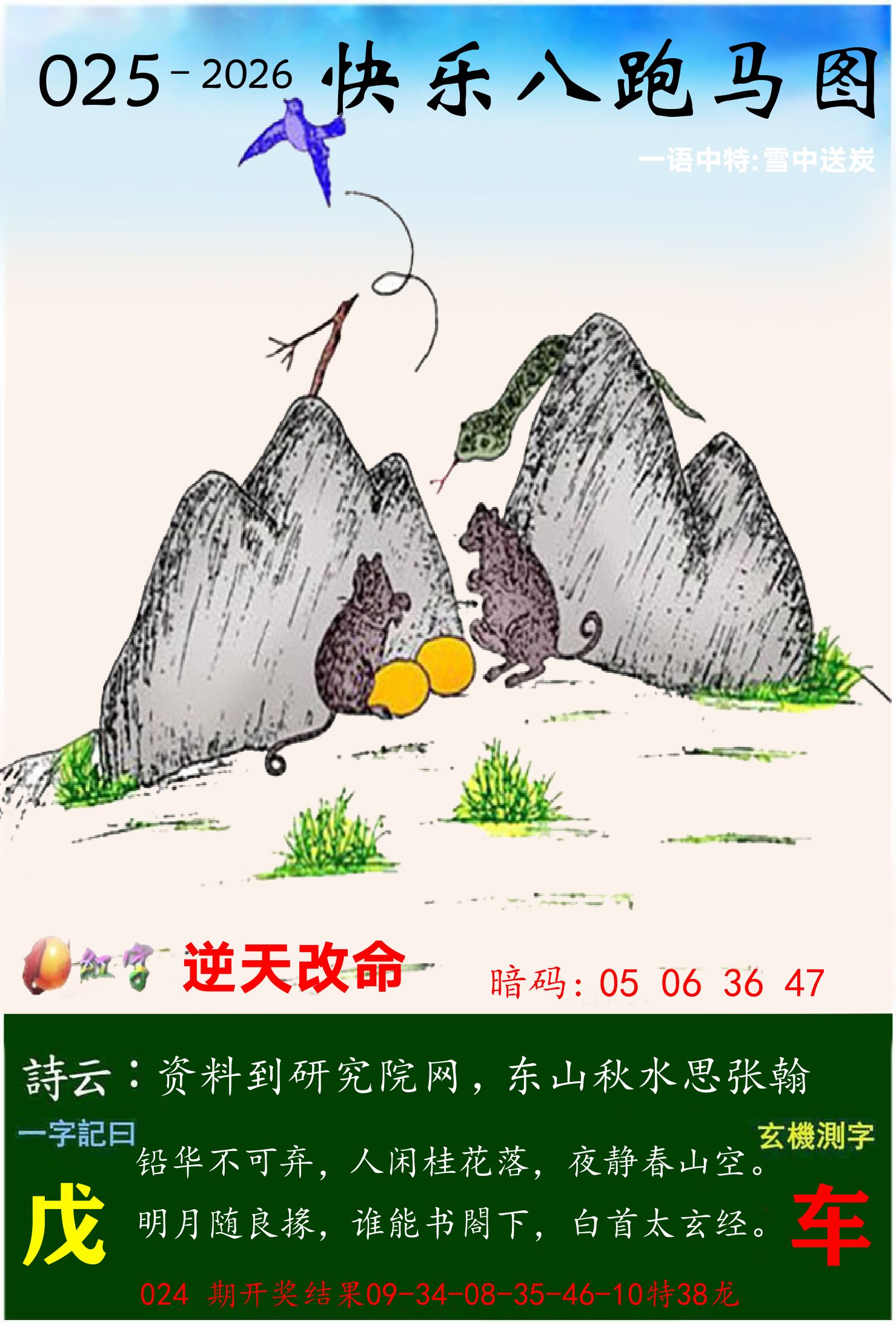 澳门跑马 第25期