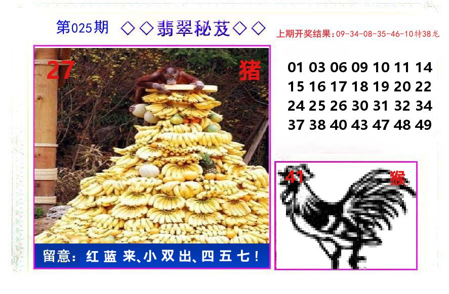 翡翠秘芨 第25期