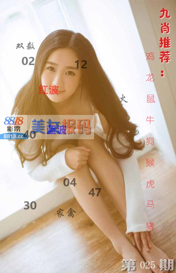 美女报码 第25期
