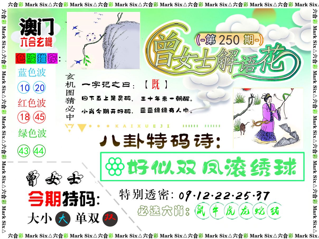 曾女士解语花 第250期