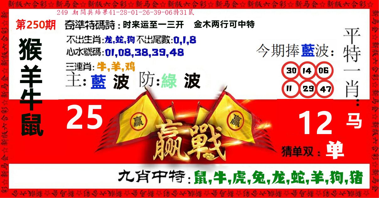 赢站 第250期