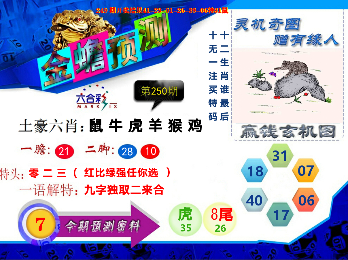 金蟾预测 第250期