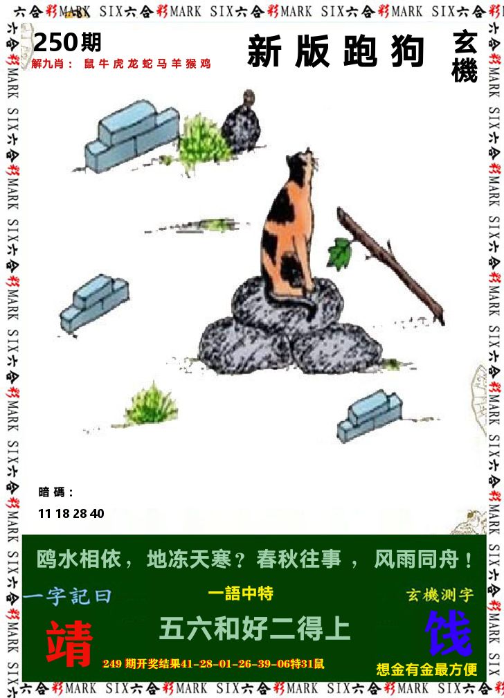 悟入其图 第250期