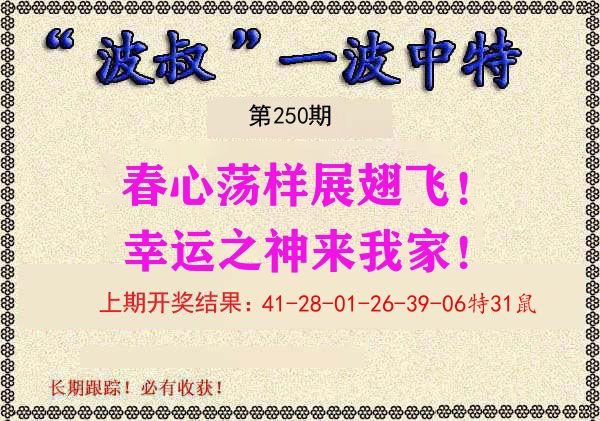波叔中特 第250期