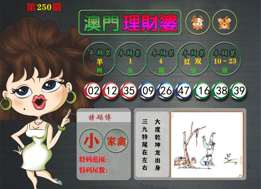 理财婆 第250期