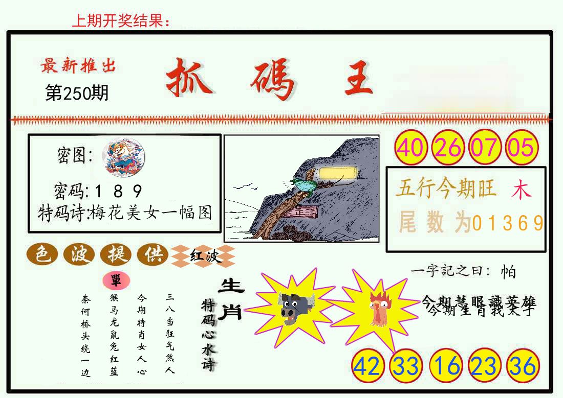 最新抓码王 第250期