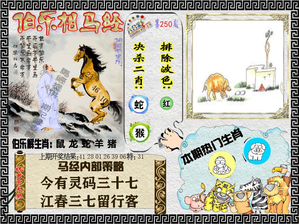伯乐相马经 第250期