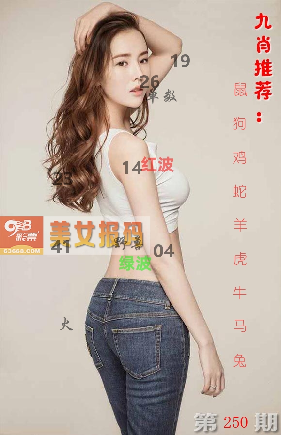 美女报码 第250期