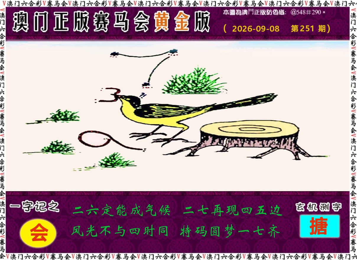 赛马会黄金版 第251期